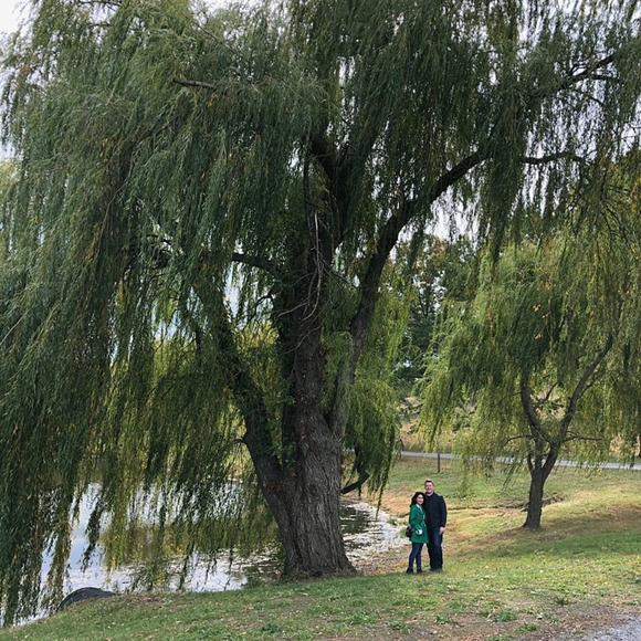 Meet the Closet/Posher - Picture 2 of 4